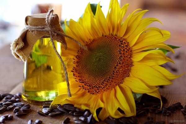 تصویر 5 از خرید روغن آفتابگردان تصفیه شده + قیمت فروش استثنایی